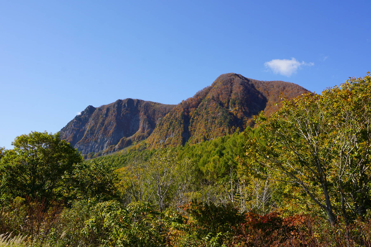 181022b.jpg